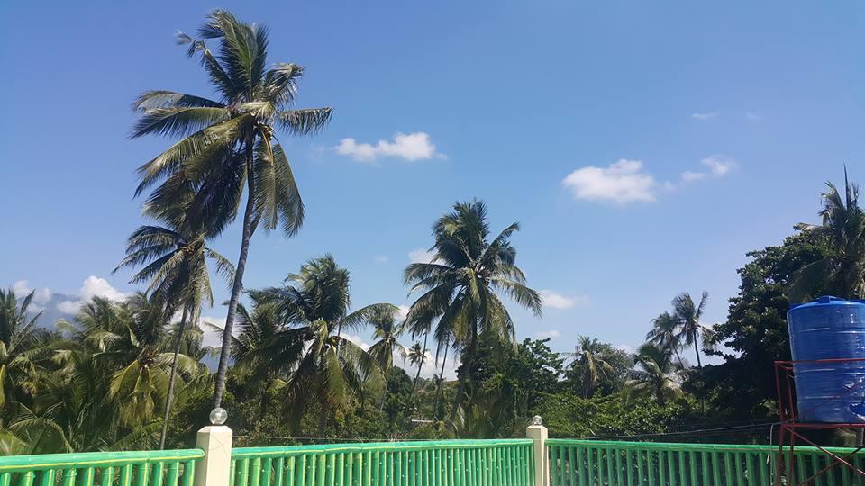 Ceazar'S Place داوين المظهر الخارجي الصورة