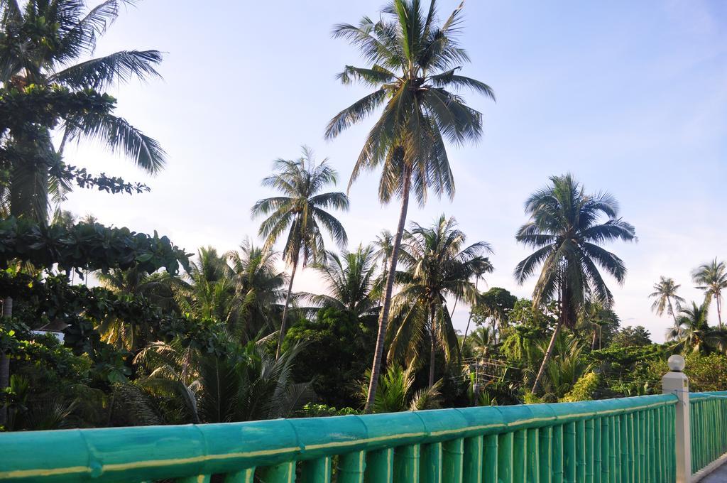 Ceazar'S Place داوين المظهر الخارجي الصورة